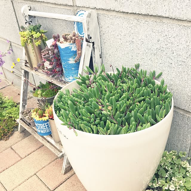 Mi-chonさんの実例写真