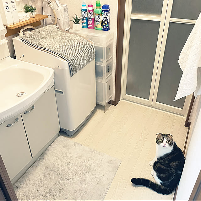 tansukeさんの実例写真
