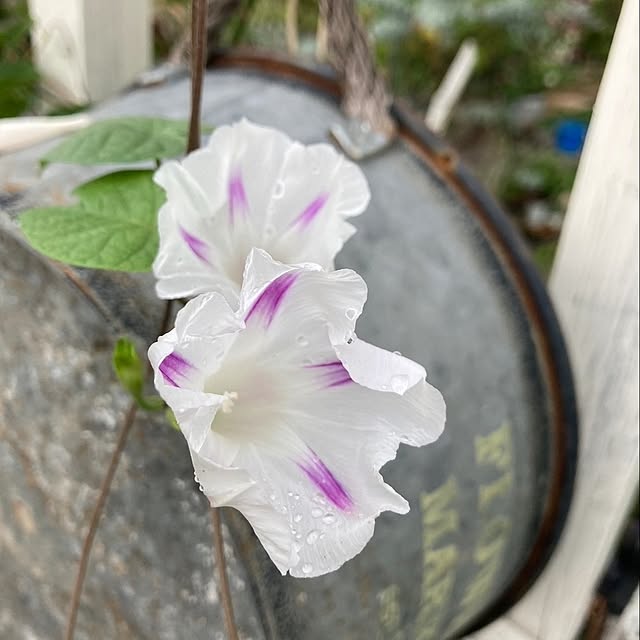 min_nimさんの実例写真