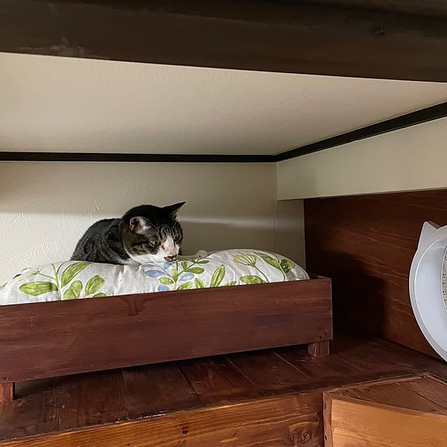 coolcats0528さんの実例写真