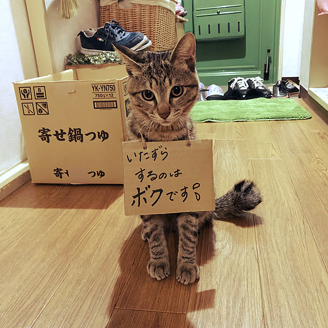 emiさんの実例写真
