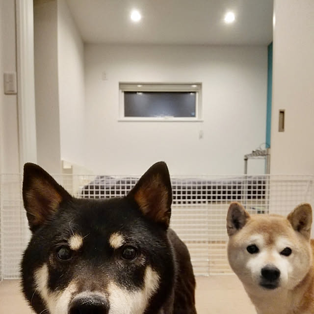 ponhanaさんの実例写真