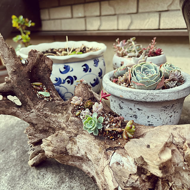 botanさんの実例写真