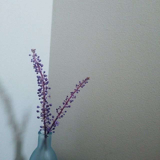 poemwalkさんの実例写真