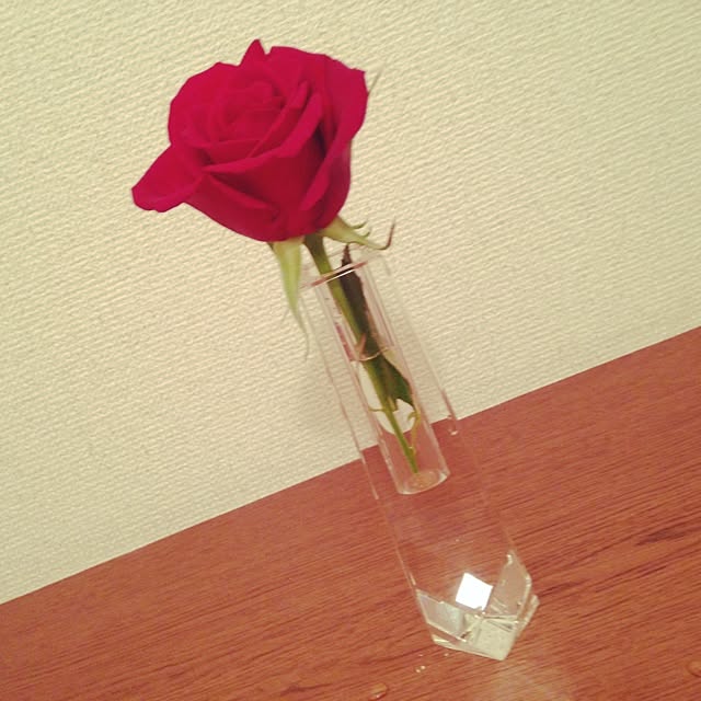 amixxponさんの実例写真