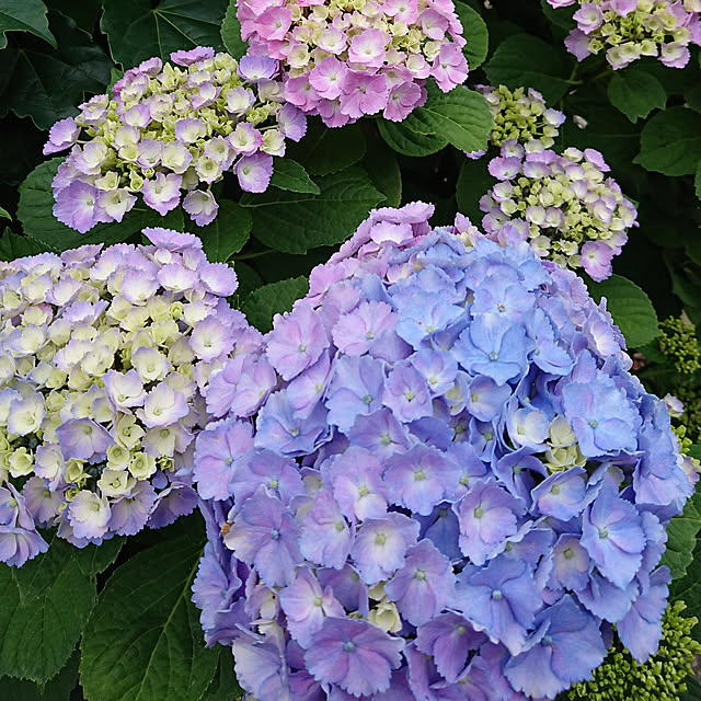 renrinmamaさんの実例写真