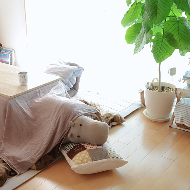mangoさんの実例写真