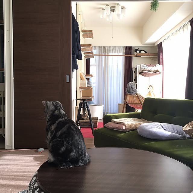 mikomaruさんの実例写真