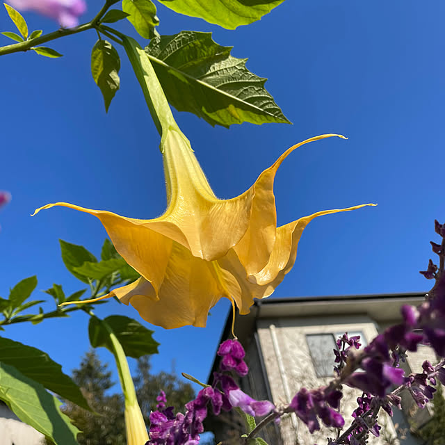natsumiさんの部屋