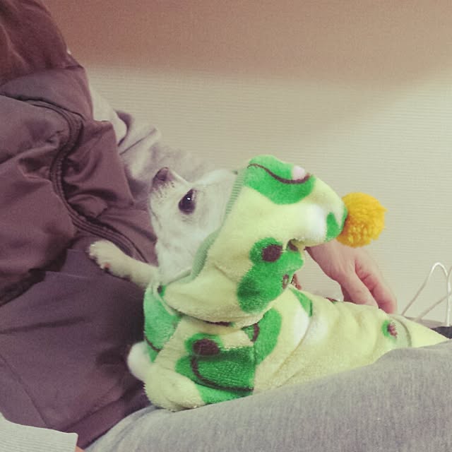 rorochimanさんの実例写真
