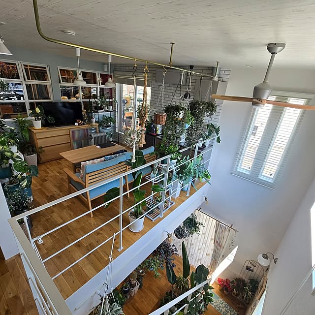 nonbiri_house_さんの部屋
