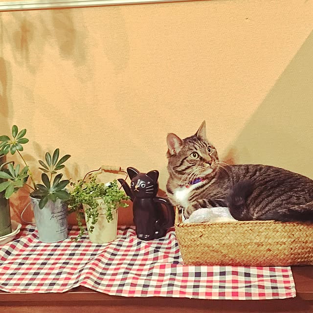 takami0501さんの実例写真