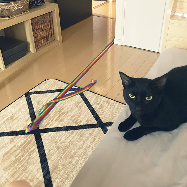 suemonta14さんの実例写真