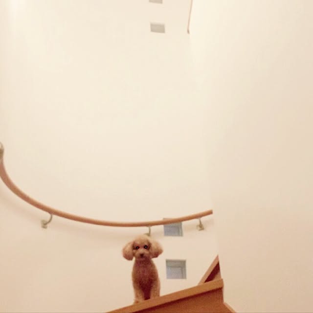 Momoさんの実例写真