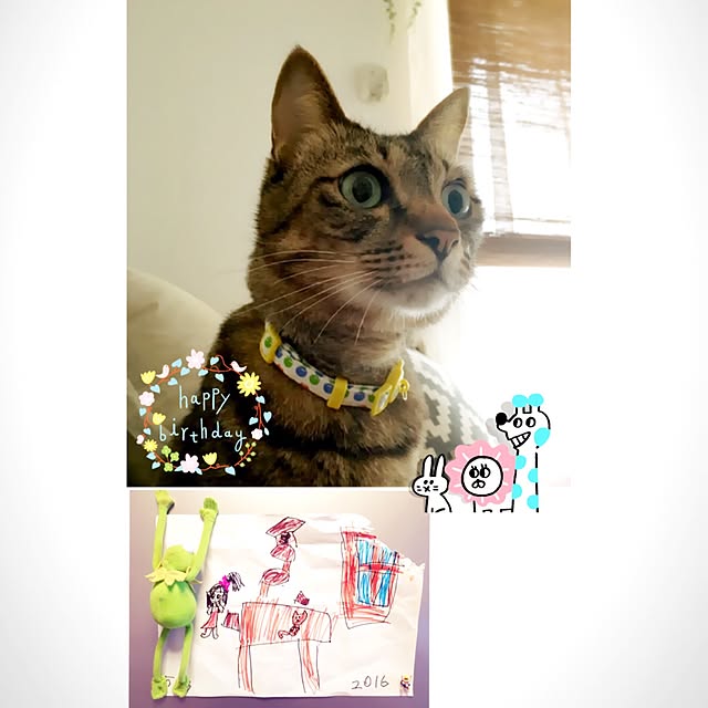neopipeさんの実例写真