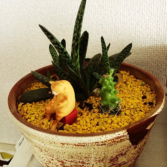 acoさんの実例写真
