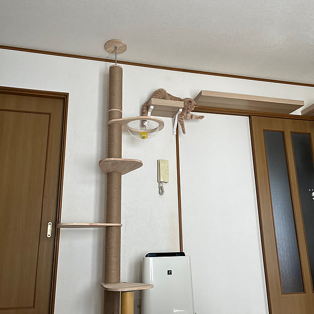 chachamaruさんの部屋