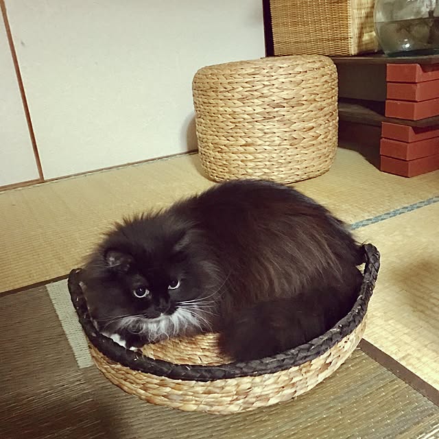 mucc08さんの実例写真