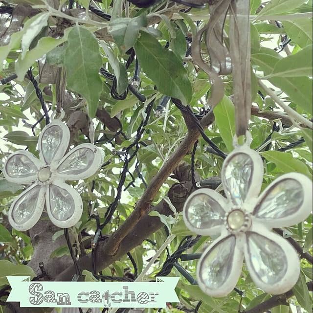 greenlife｡.:*ฺ✤ฺ/ロシアンオリーブ/San catcher.｡*✧/ガーデニング/my garden ｡.:*ฺ✤ฺのインテリア実例 - 2017-05-16 09:07:17