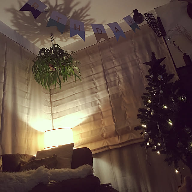 壁/天井/誕生日/Xmasツリー/間接照明/ヴィンテージライト...などのインテリア実例 - 2017-12-14 00:05:51