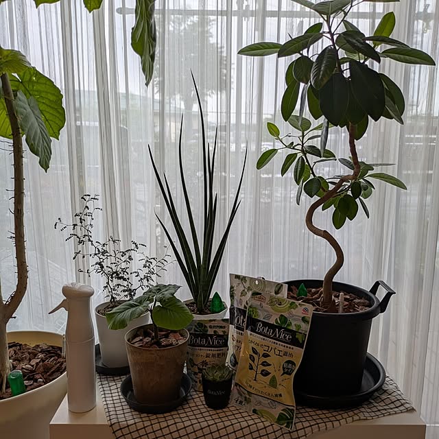 naoさんの部屋
