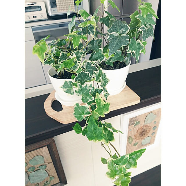 tata-kukuさんの実例写真