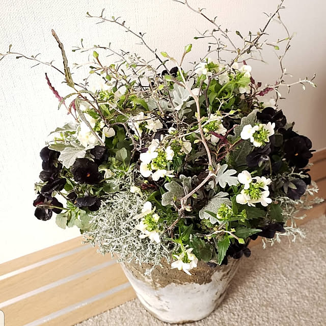 maronnanaさんの実例写真