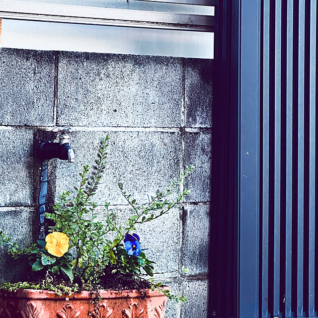 chacoさんの部屋