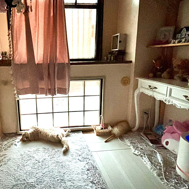 naokoさんの実例写真