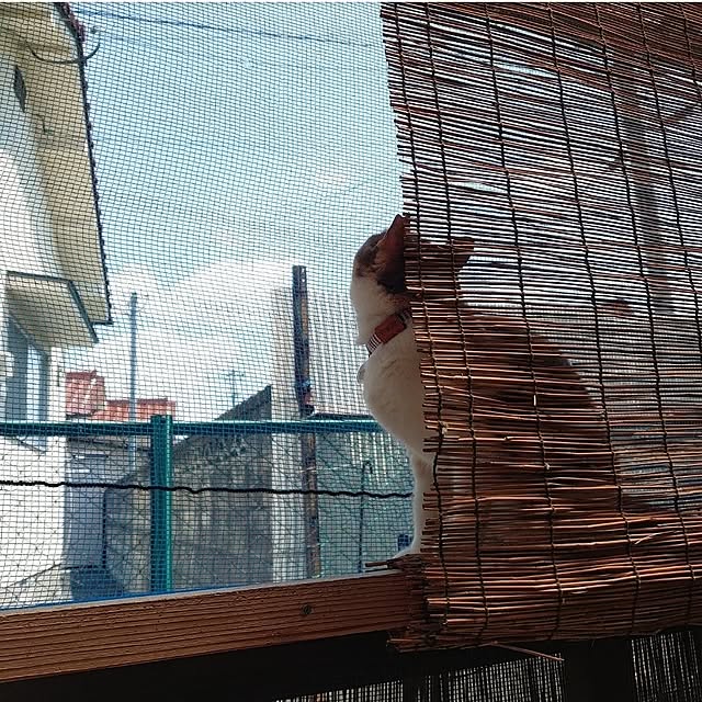 fukuさんの実例写真