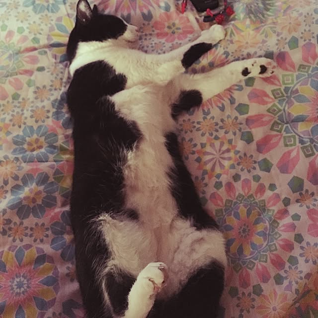 brbrnknkさんの実例写真