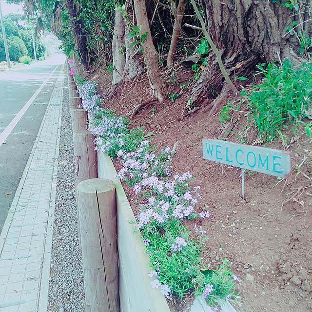 cache-cacheさんの実例写真