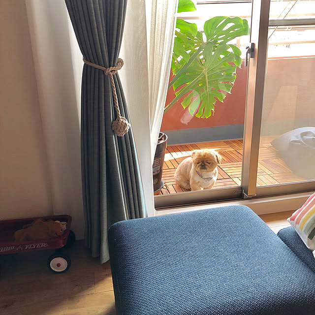 NUIさんの実例写真