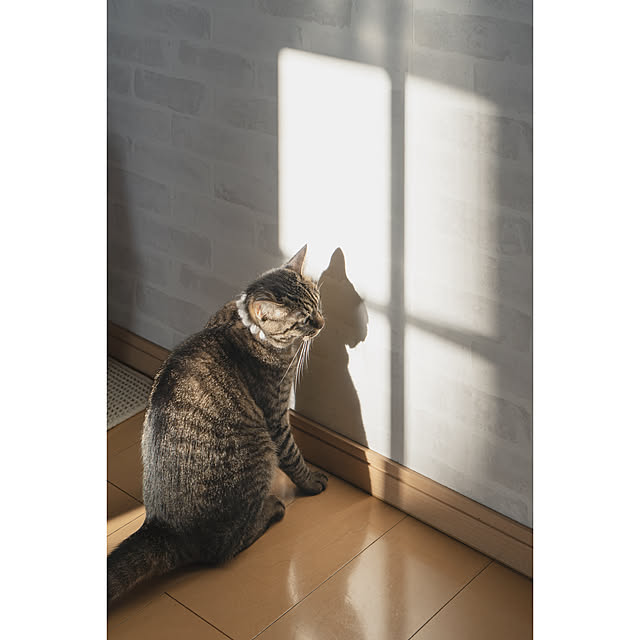 oliveさんの実例写真