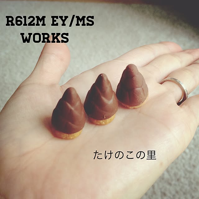 REINA612WORKSさんの実例写真