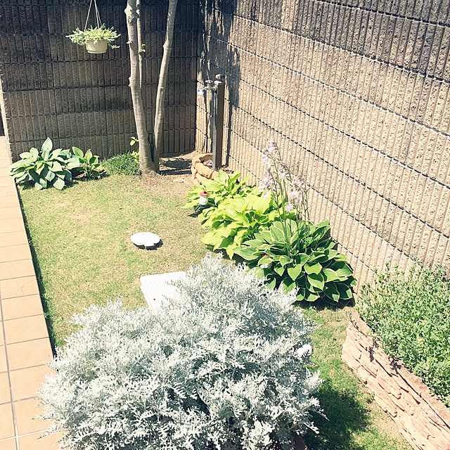 yumi.fさんの部屋