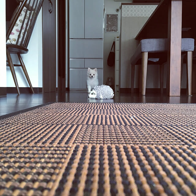 momoさんの実例写真