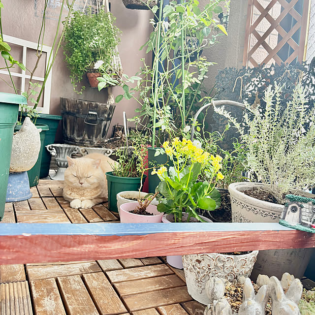 naokoさんの部屋