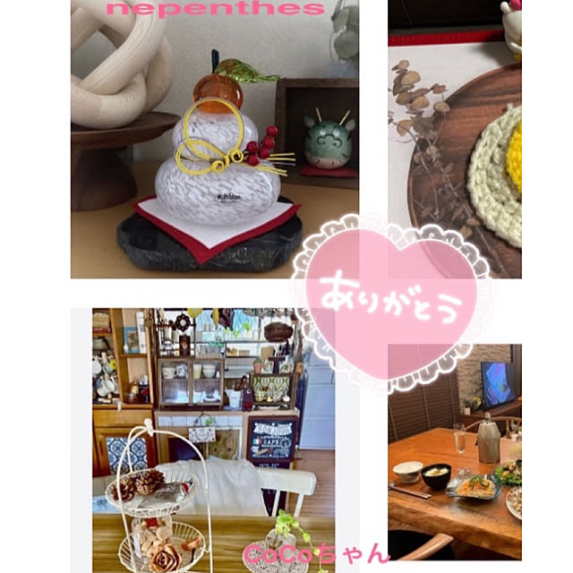 nepenthesさんの実例写真