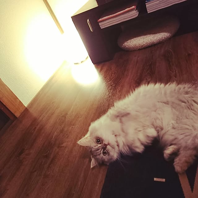 kumikkeyさんの実例写真