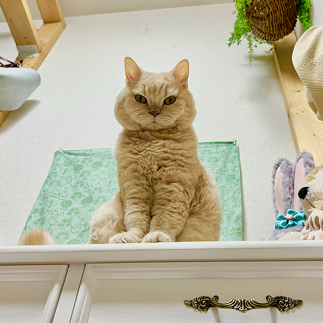 naokoさんの部屋