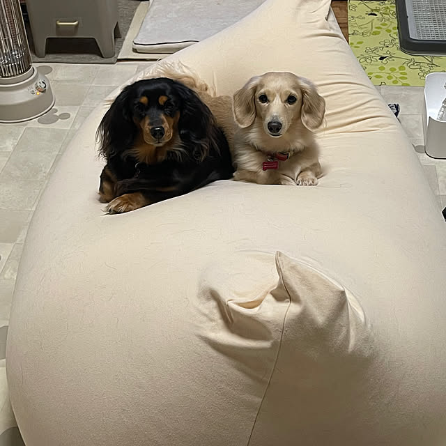 Luckyさんの部屋