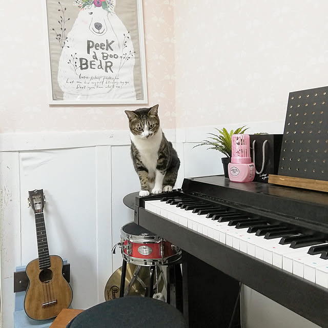 yuuさんの実例写真