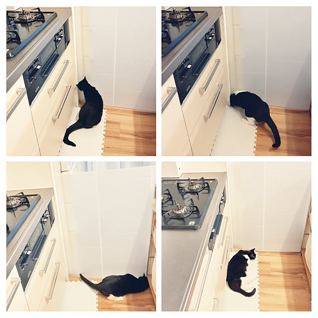 hihaさんの実例写真