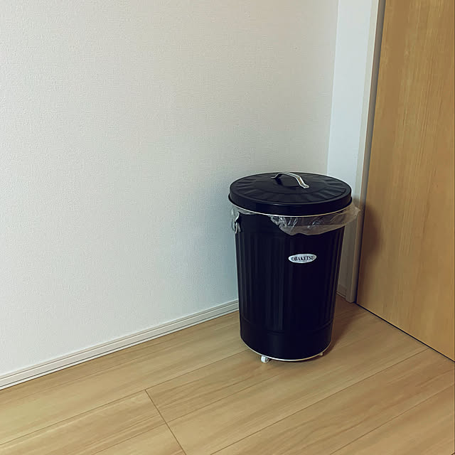 kaerunoameriさんの実例写真