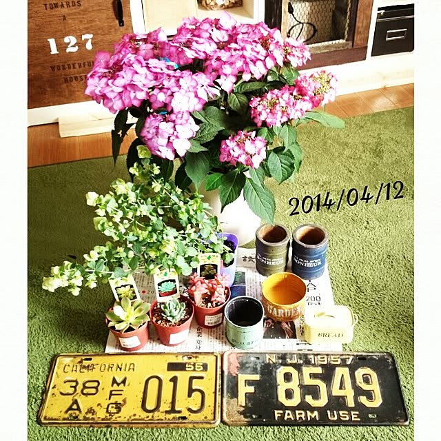 kira127さんの実例写真