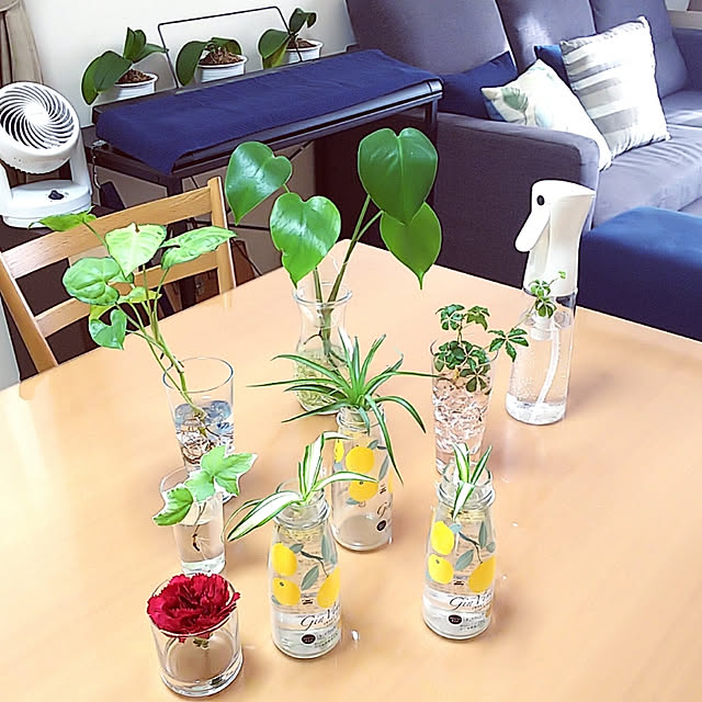 akiwaka-roomのカインズ-カインズ(CAINZ) スプレーボトル 350ml 高機能スプレー マイクロミスト 連続ミスト 日本製 噴霧 極細ミスト 加湿 清掃 園芸 美容 ヘアケア 霧吹きの家具・インテリア写真
