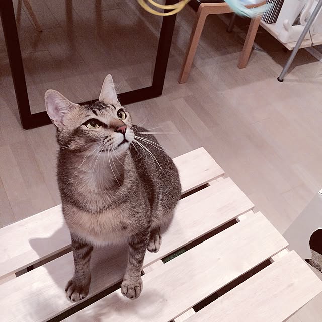 Reikoさんの実例写真