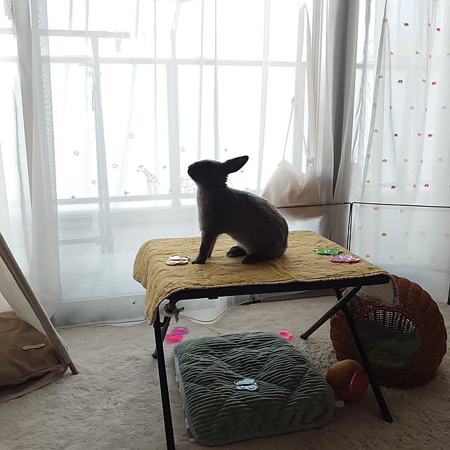 kirariさんの実例写真