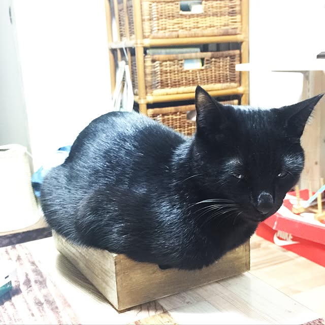 Beeさんの実例写真